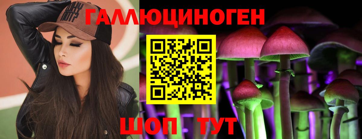 Псилоцибиновые грибы Psilocybe  Вход с VPN  Кохма 